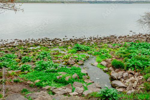 Natural stream flowing into the river