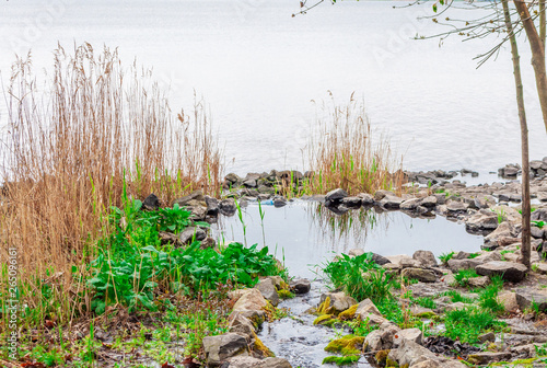 Natural stream flowing into the river