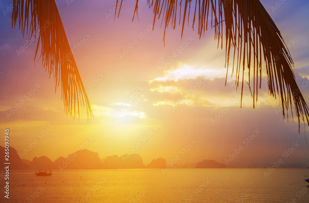 palm trees silhouette evening sky clouds Sunset Background. Vietnam Top Destinations, Ha Long Bay