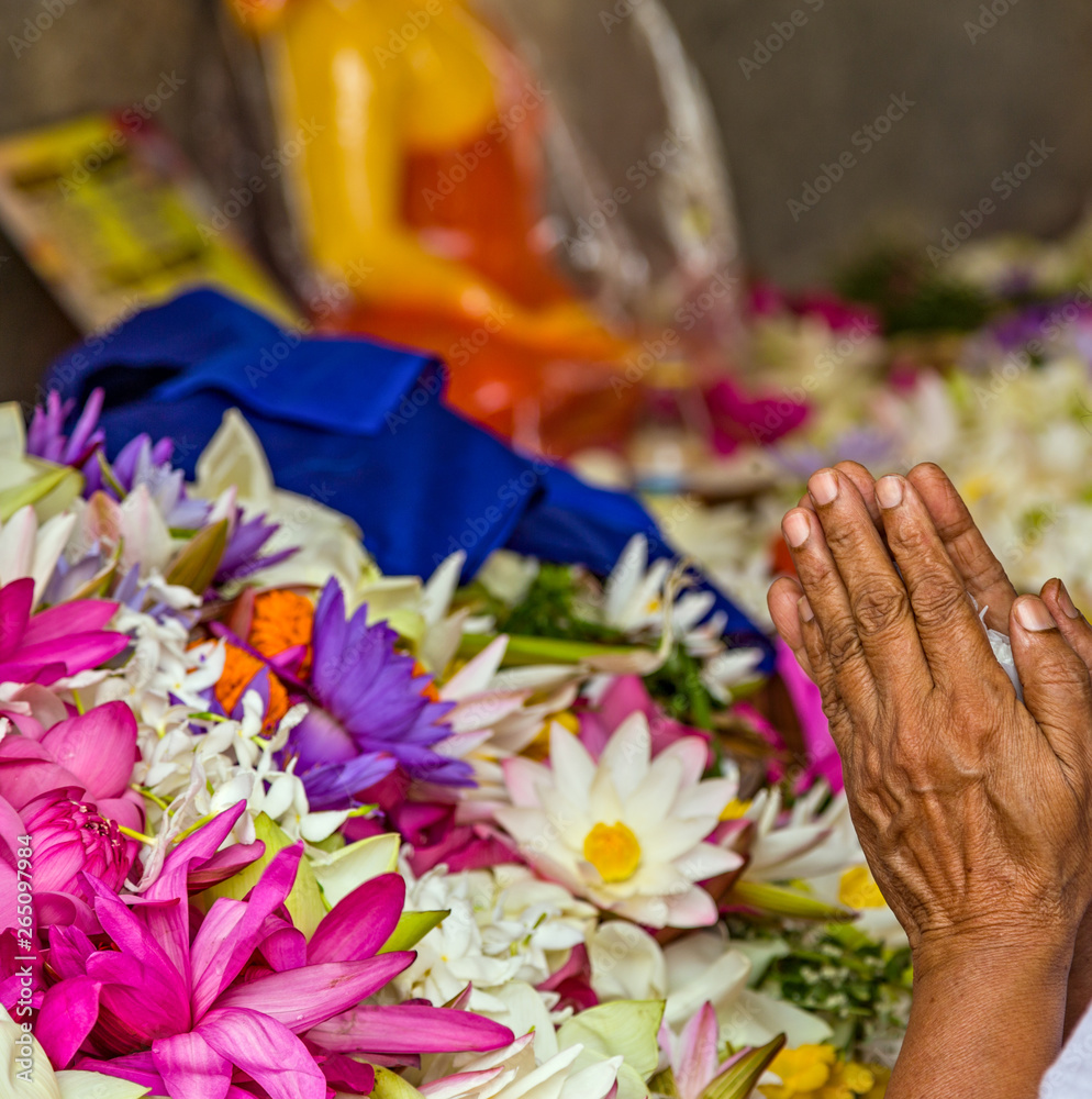 custom made wallpaper toronto digitalPraying Hands lotus flower