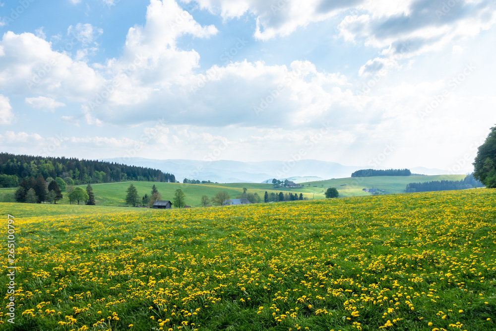 beautiful view landscape south Germany - obrazy, fototapety, plakaty 