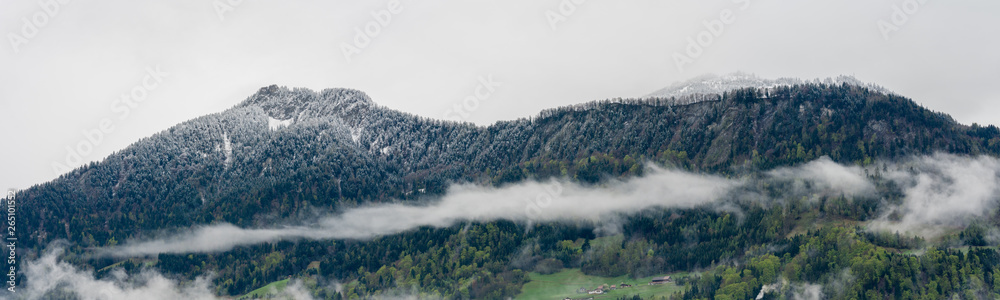 Fototapeta premium panorama mountain landscape with fresh snow and foggy clouds over the forest