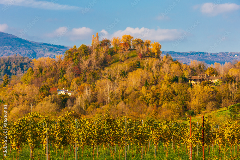 Asolani hills in Italy