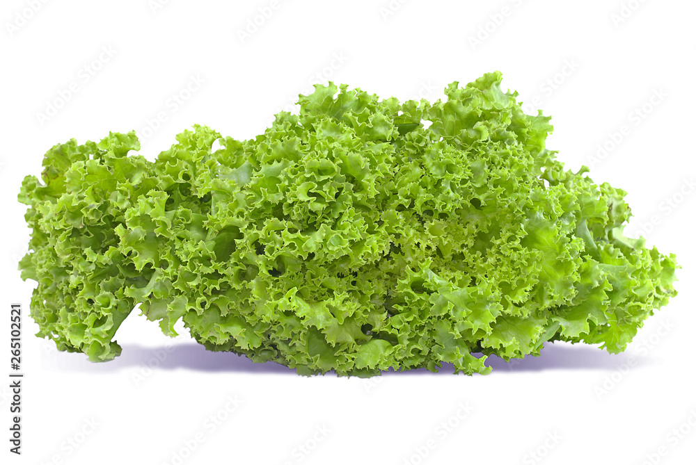 Salad vegetable, Lettuce isolated on white background Salad vegetable, Lettuce isolated on white background