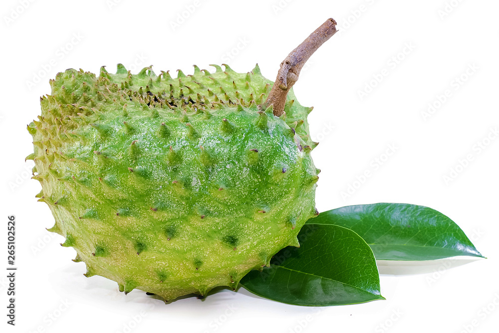 Soursop, Prickly Custard Apple isolated on white Soursop, Prickly Custard Apple isolated on white