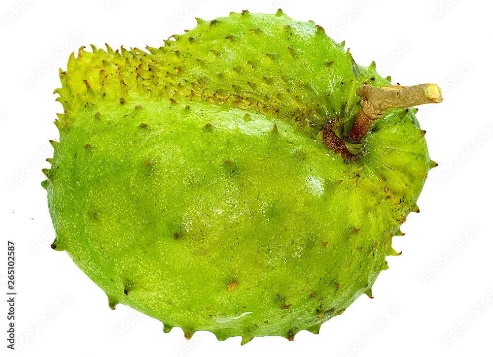 Soursop, Prickly Custard Apple isolated on white Soursop, Prickly Custard Apple isolated on white