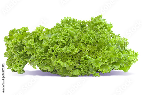 Salad vegetable, Lettuce isolated on white background