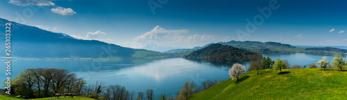 Fototapeta Naklejka Na Ścianę i Meble -  beautiful panorama lakeside landscape in Switzerland with green fields and blossoming flowers and trees and mountains behind