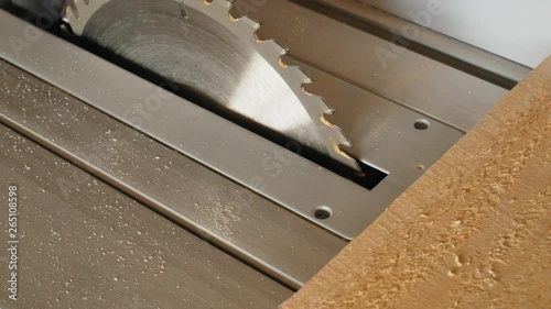 Circular in action. Woodworker rip cut saws ash plank on a table saw. Joiner at work.