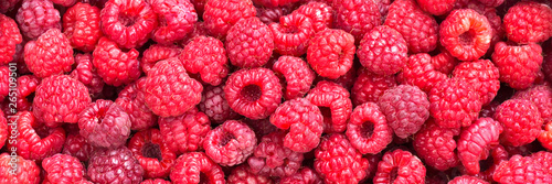 Wall Mural Freshly picked raspberries panoramic background