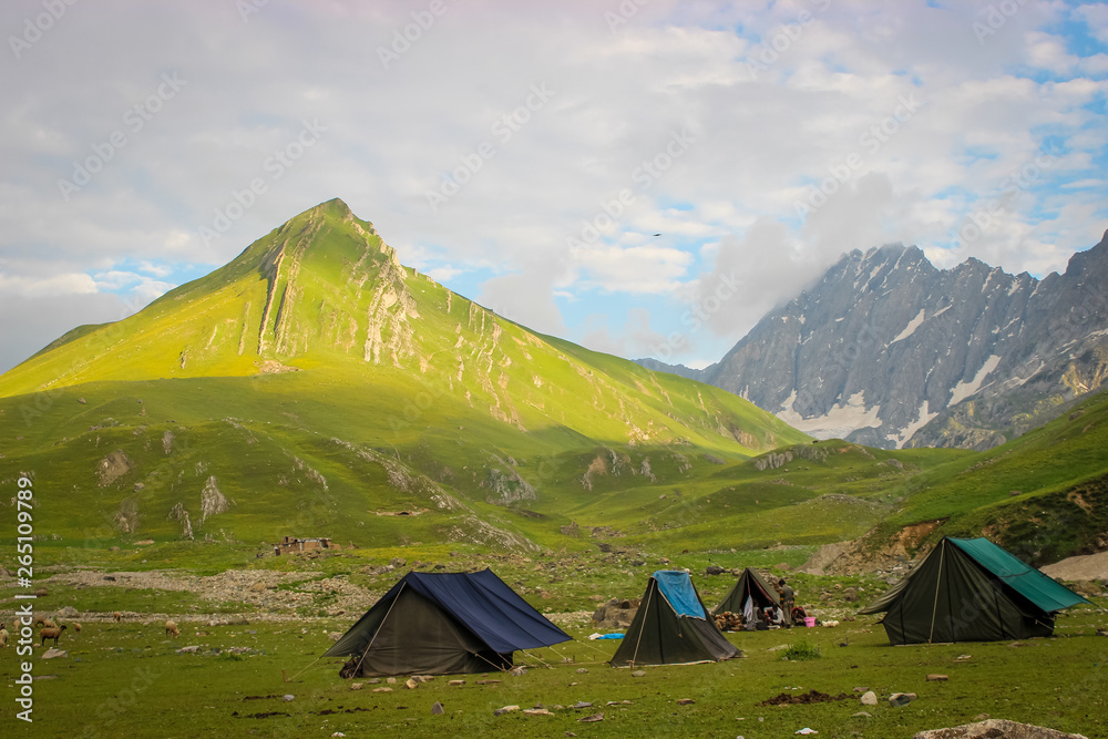 Tents erected on the trekking route to Gangabal Lake in Kashmir. Morning light hitting the mountain.