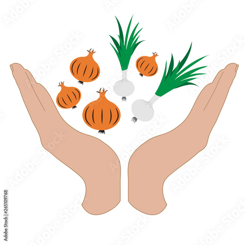 Vector silhouette of a hand in a defensive gesture protecting a onion and spring onion. Symbol of vegetable, food, agriculture, protection, fresh, vegan, vegetarian, frutarian.