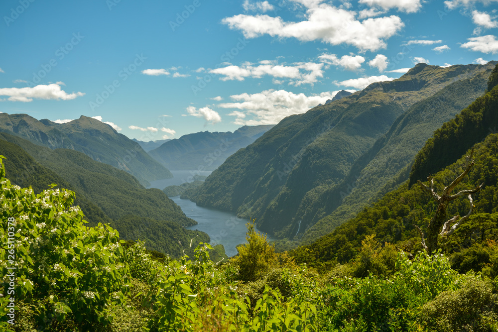 View on Doubltful Sound fiord far from civilization in southern part of New Zealand