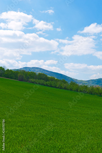 Field and green mountains view at sunny day © talook