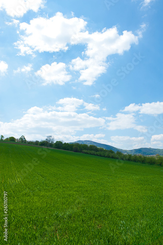 Field and green mountains view at sunny day