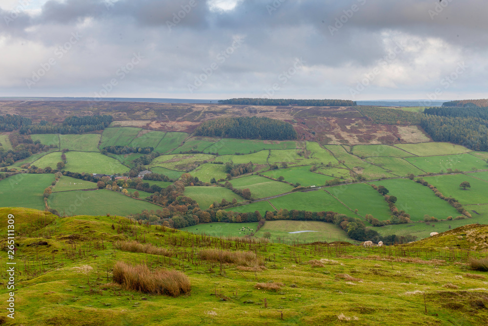 Fototapeta premium Rosedale landscape