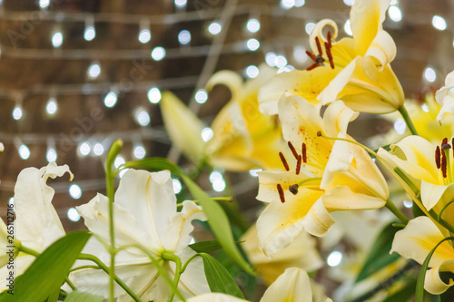 Beautiful of yellow lily flowers bouquet on field in green garden background.