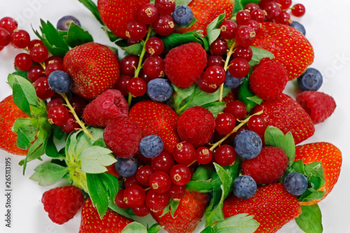 fresh berries on a white background