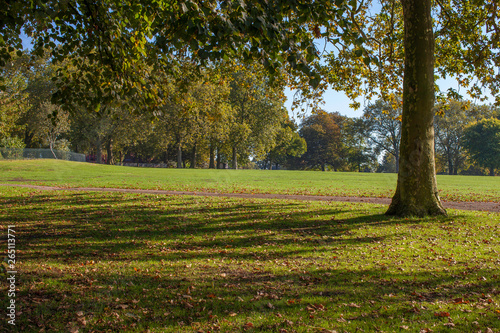 Fototapeta Naklejka Na Ścianę i Meble -  Finsbury park shades