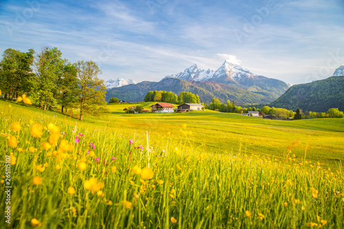 Obraz na płótnie Idyllic landscape in the Alps with blooming meadows in springtime w salonie