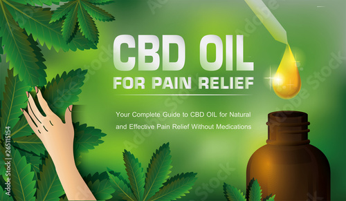 cbd oil for pain relief on nature white background.
