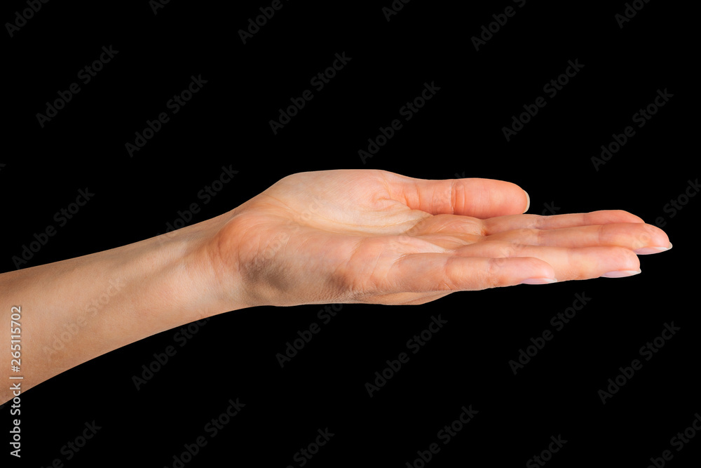 Woman showing open hand taking or showing something Woman showing open hand taking or showing something