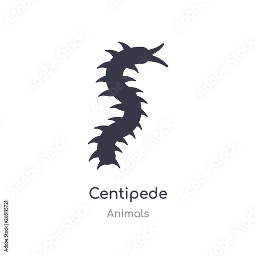 Valokuva centipede icon