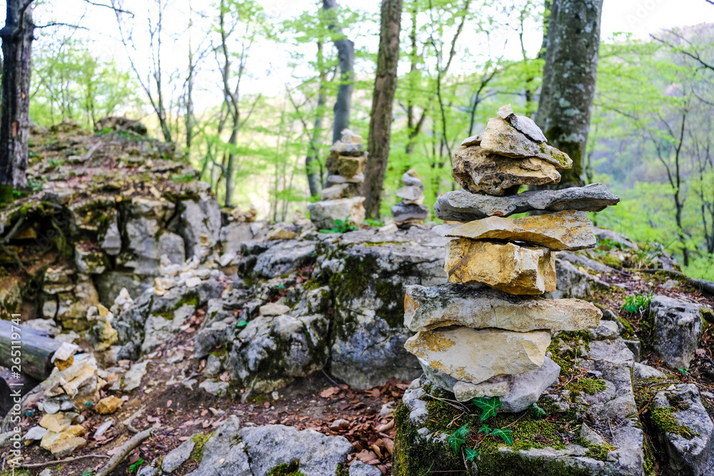 Fototapeta premium Aufgestapelte Steine im Wald