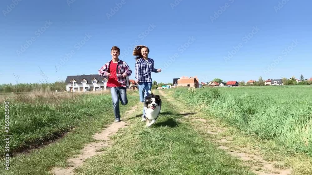 Happy teen boy and girl with Australian Shepherd dog running towards the camera in field. Outdoors activities. Children walking with dog on leash at summer day - slow motion. Happy teen boy and girl with Australian Shepherd dog running towards the camera in field. Outdoors activities. Children walking with dog on leash at summer day - slow motion.