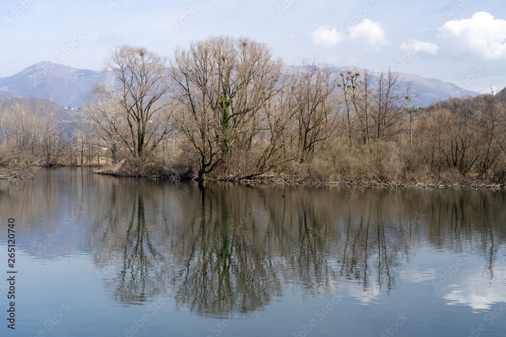 Cycleway along the Adda river