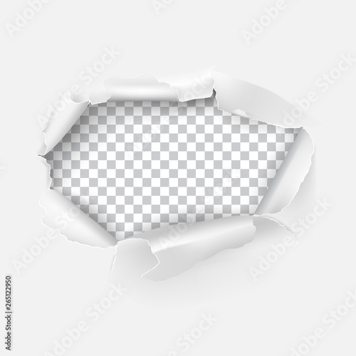 Vector realistic torn hole in paper on transparent background. 