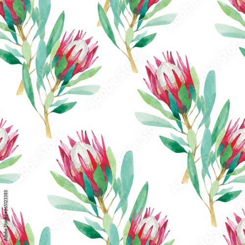 Watercolor tropical flower seamless pattern, flowers of protea - Illustration. Colorful exotic summer print with floral elements for the textile fabric and wallpapers.