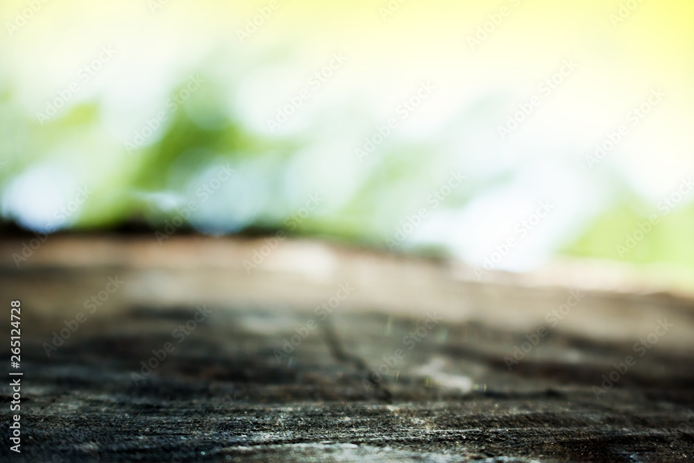 Fototapeta premium the nature background abstract, blur nature background, green leaf in nature background
