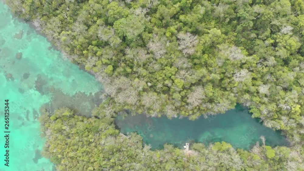 Aerial: top down tropical sea pristine coastline rainforest turquoise lagoon at Bair Island mini Raja Ampat Indonesia Moluccas Kei Islands travel destination. Native cinelike D-log color profile