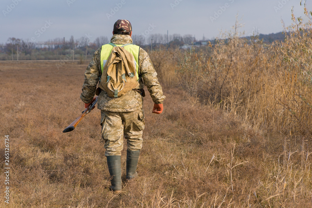 Hunter with a german drathaar and spaniel, pigeon hunting with dogs in reflective vests	