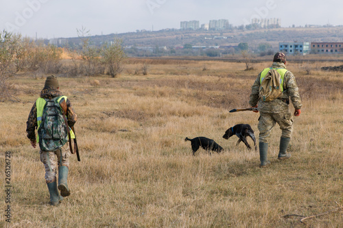 Hunter with a german drathaar and spaniel, pigeon hunting with dogs in reflective vests 
