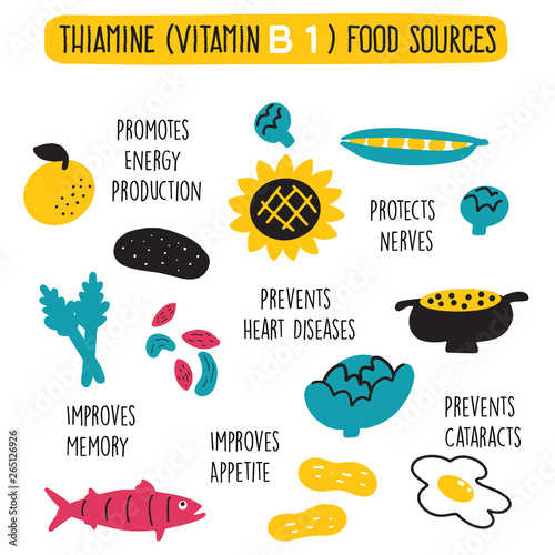Vitamin B 1 food sources, thiamine. Vector cartoon illustration and information about health benefits of vitamin B 1.