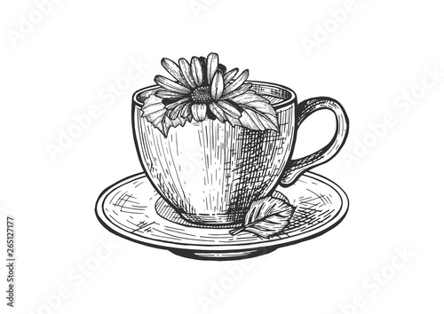Cup of tea and plate composition set