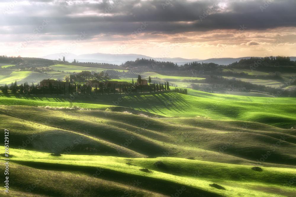 Obraz premium Wonderful hills in the green color of spring.