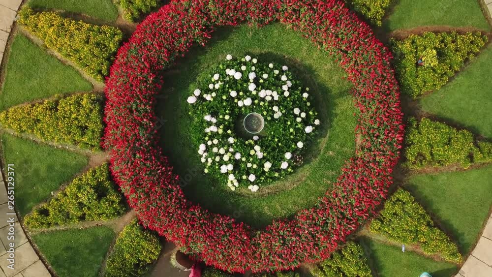 Drone ascent circle star flower bed  plants  park modern lanscape design famous landmark soigne garden plants pattern . People tourists walk Vietnam Da Lat sight Sunny day. Aerial ascent