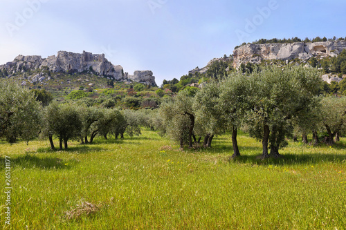 Provencal village Les Baux de Provence photo