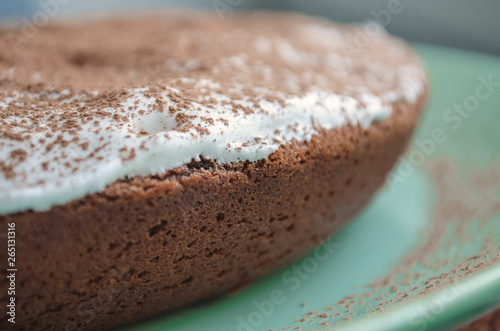 Chocolate Brownie, homemade chocolate cake. 