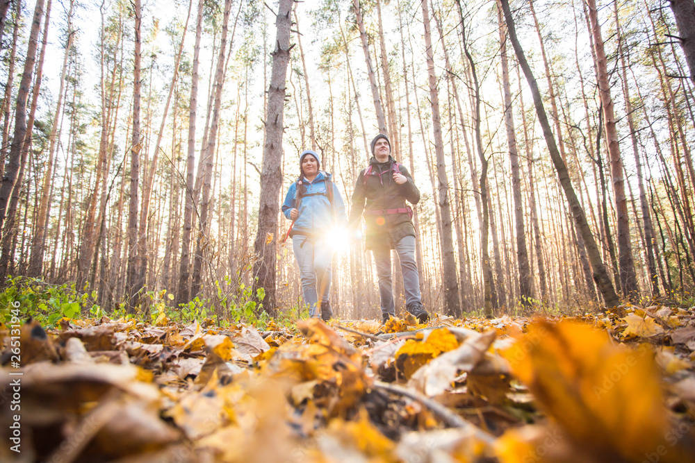 adventure, travel, tourism, hike and people concept - young couple with backpacks in the forest adventure, travel, tourism, hike and people concept - young couple with backpacks in the forest
