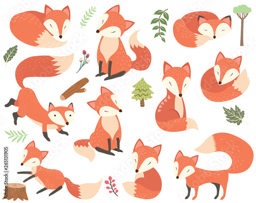 Woodland Animal Fox Elements