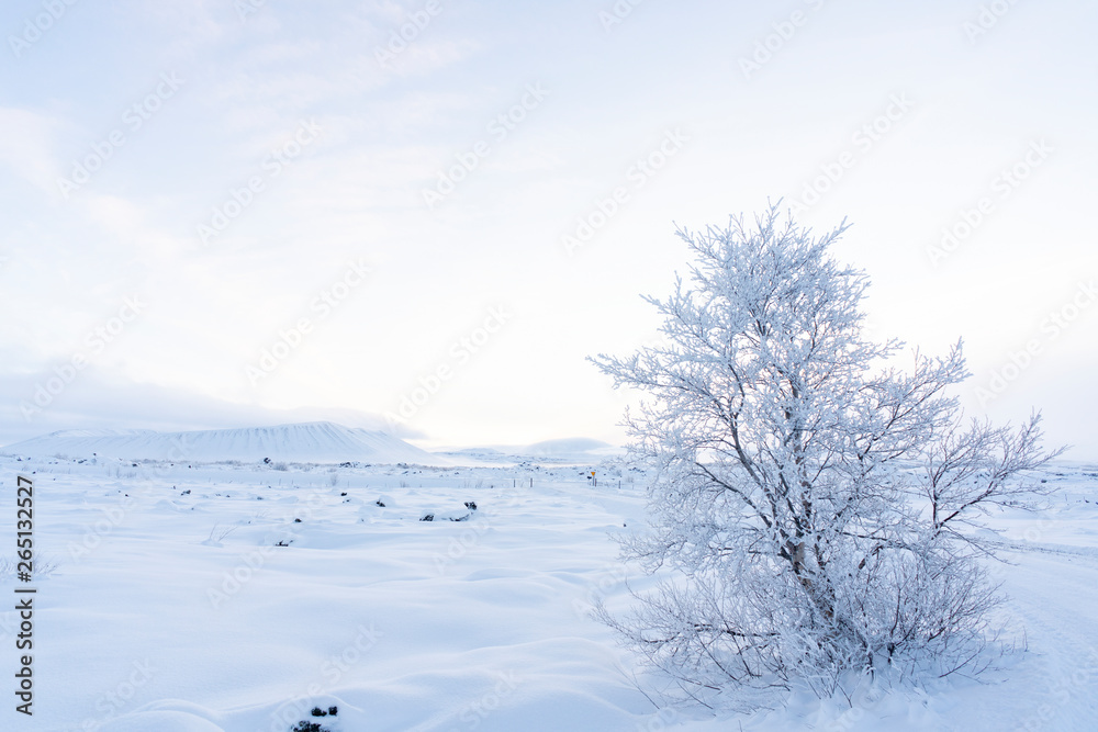 Sunrise on a cold morning in Iceland Sunrise on a cold morning in Iceland