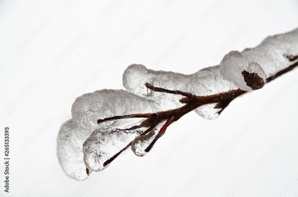 Fototapeta premium freezing rain