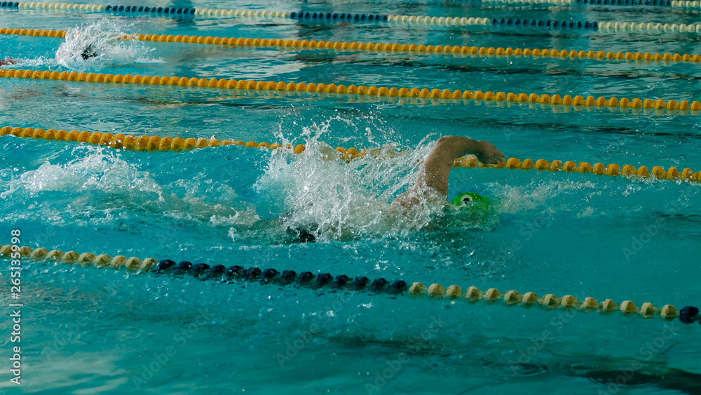 Crawl race in the Olympic pool