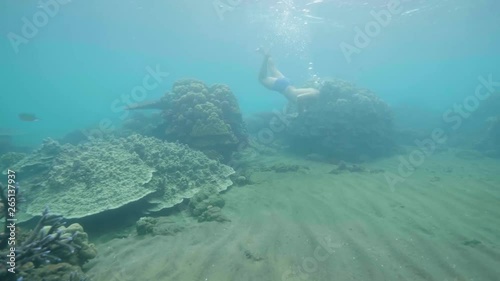 Tourist is snorkeling in mask and looking at fish and coral reef in ocean underwater. Tropical vacation concept. photo