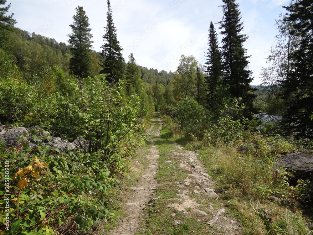 Obraz premium природа