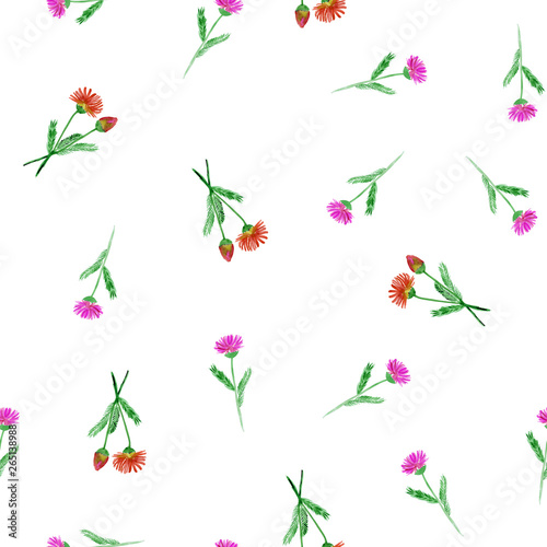 Seamless pattern of red and purple chicory wildflowers on white background. Watercolor pattern for printing on paper, textile, fabric.